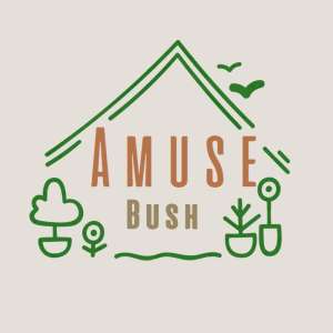 Amuse Bush